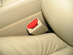 Photo - Front Seatbelt Buckle Left