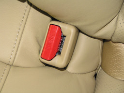 Photo - Rear Seatbelt Buckle Left