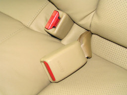 Photo - Rear Seatbelt Buckle Right