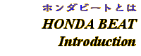 Information - HONDA BEAT Introduction