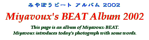Title - Miyavoux's BEAT Album 2002