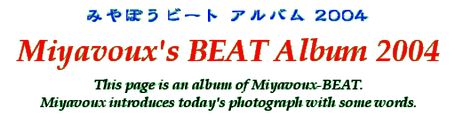 Title - Miyavoux's BEAT Album 2004