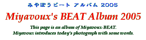 Title - Miyavoux's BEAT Album 2005