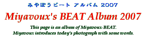 Title - Miyavoux's BEAT Album 2007